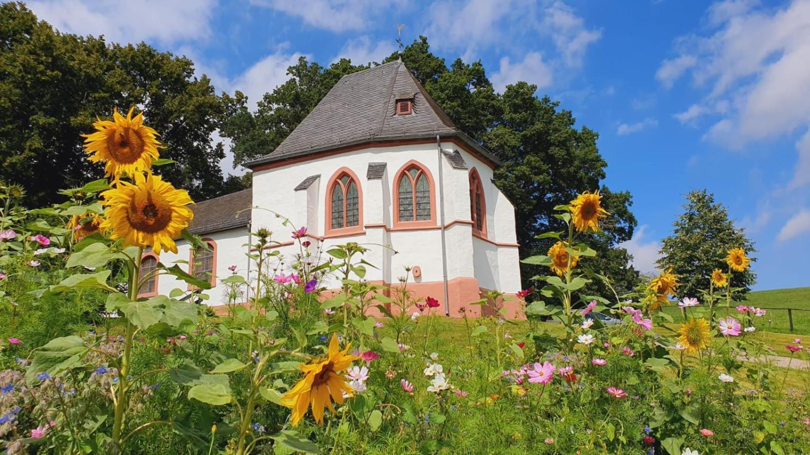 Ferienhaus Deine Zeit Mit Sauna Und Wallbox Nettersheim Екстериор снимка